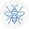 Runcorn Hornet Nest Removals