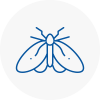 Moth Control Specialists In Runcorn