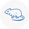 Rat Control Runcorn